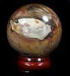 Colorful Petrified Wood Sphere #36969-1